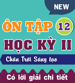Ôn tập Học kỳ II (CTST_HH12)